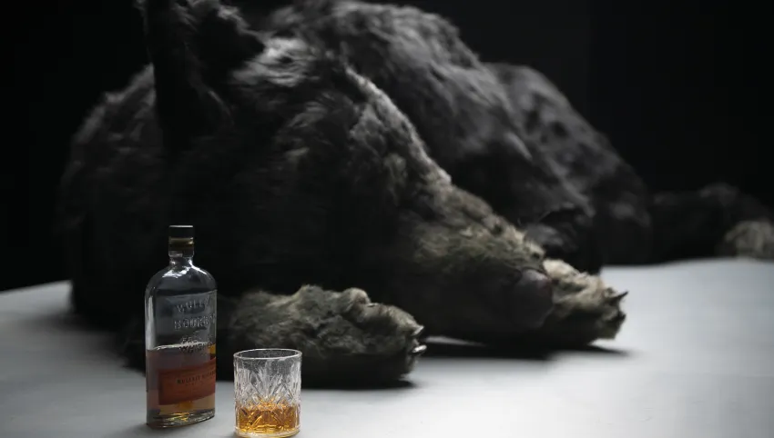 Ein schwarzer Wolf liegt auf einer Fläche. Neben ihm eine halbvolle Flasche und ein halbvolles Glas mit brauner Flüssigkeit.