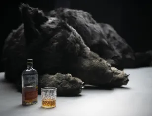 Ein schwarzer Wolf liegt auf einer Fläche. Neben ihm eine halbvolle Flasche und ein halbvolles Glas mit brauner Flüssigkeit.