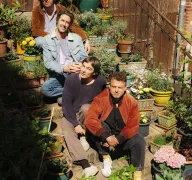 Vier Personen sitzen hintereinander auf einer Treppe, umgeben von Pflanzen.