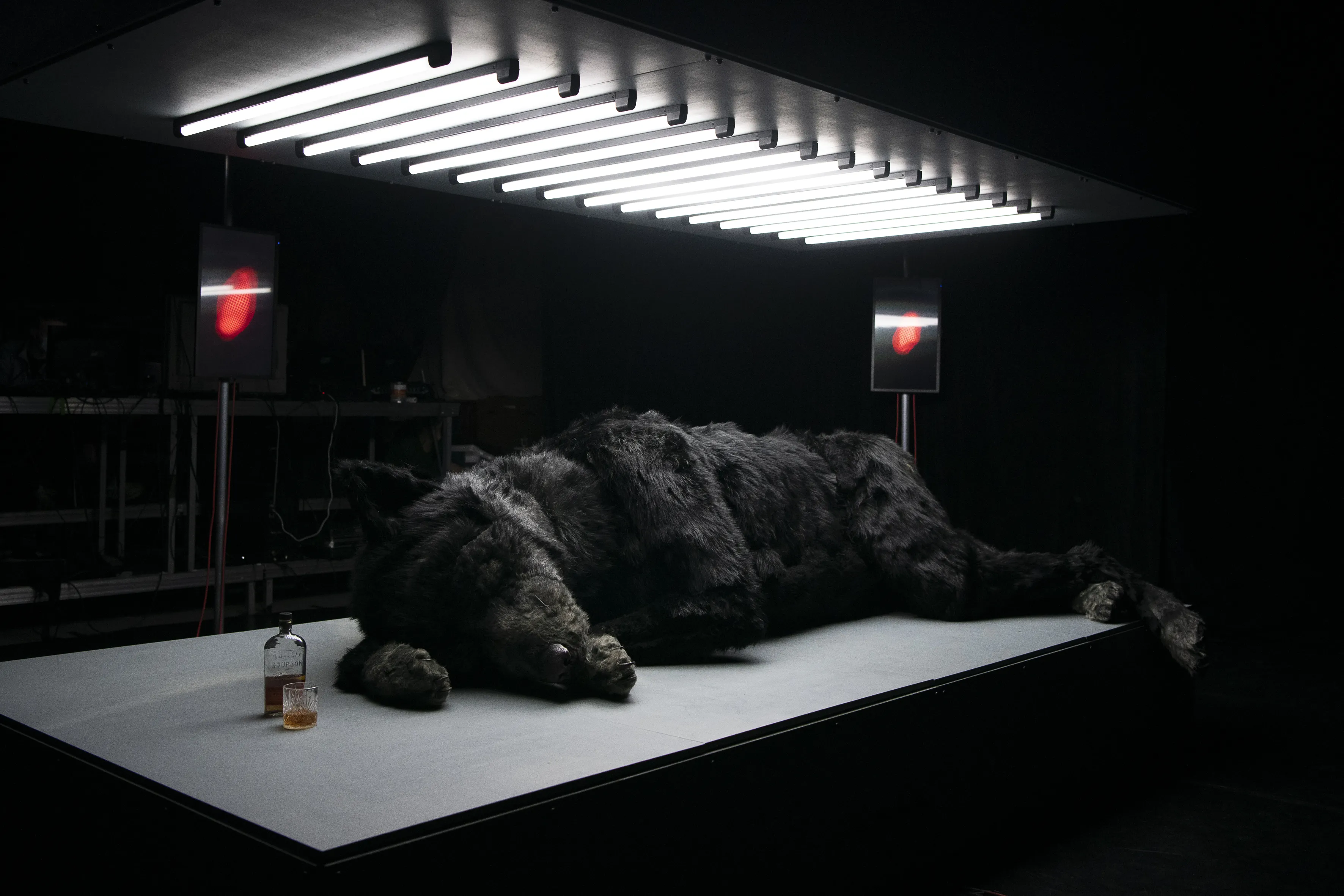 Ein schwarzer Wolf liegt auf einer beleuchteten Fläche. Neben ihm eine halbvolle Flasche und ein halbvolles Glas mit brauner Flüssigkeit.