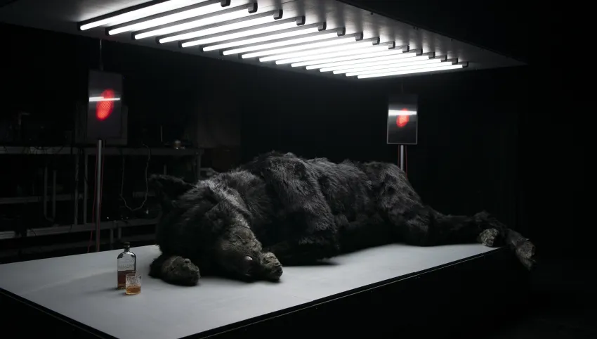 Ein schwarzer Wolf liegt auf einer beleuchteten Fläche. Neben ihm eine halbvolle Flasche und ein halbvolles Glas mit brauner Flüssigkeit.