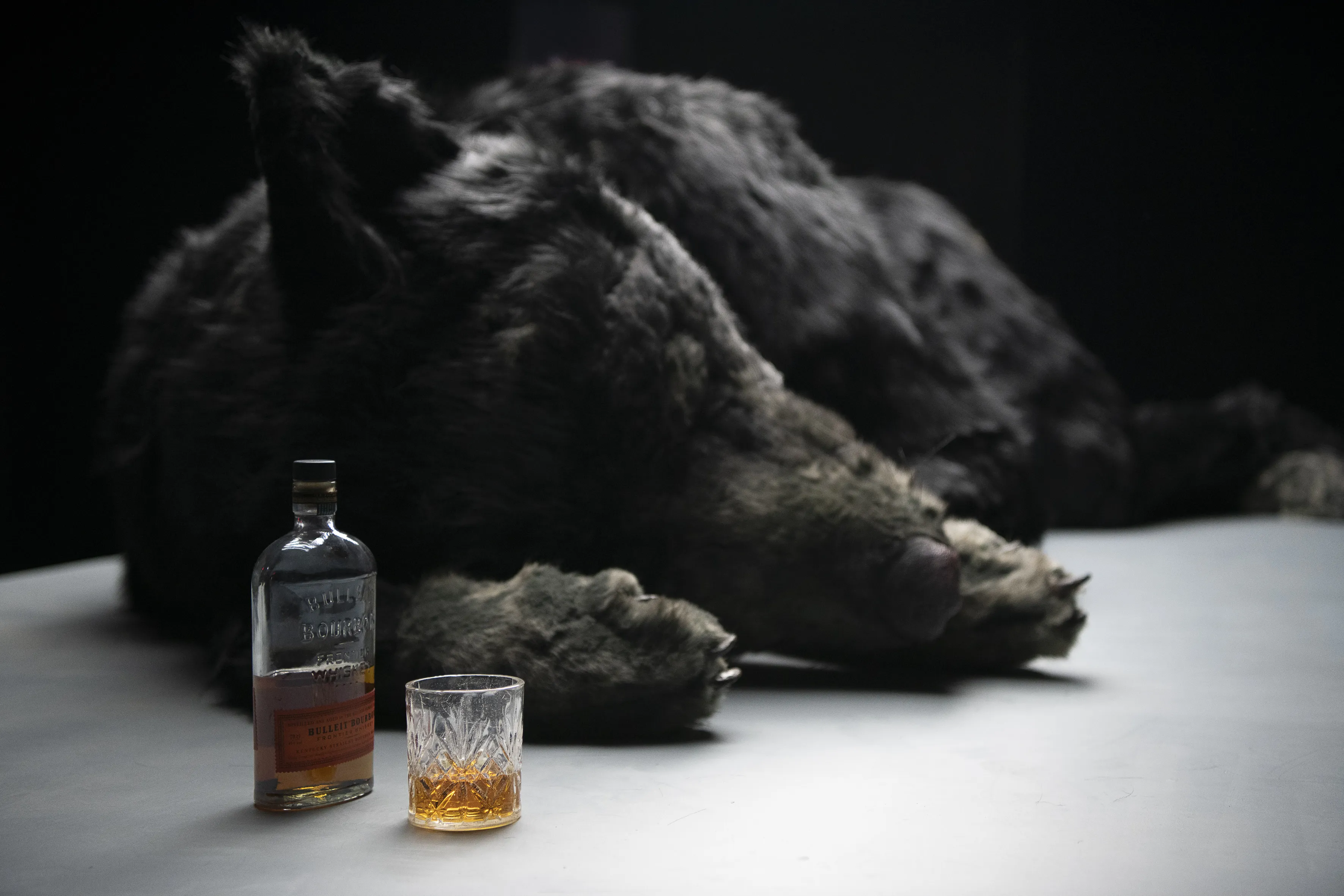 Ein schwarzer Wolf liegt auf einer Fläche. Neben ihm eine halbvolle Flasche und ein halbvolles Glas mit brauner Flüssigkeit.