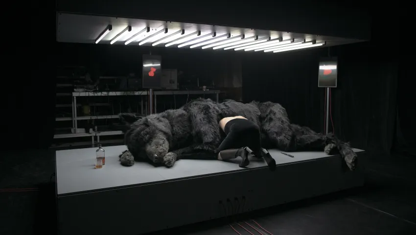 Ein schwarzer Wolf liegt auf einer beleuchteten Fläche. Eine Person mit nacktem Oberkörper steckt den Kopf in den Bauch des Wolfs.