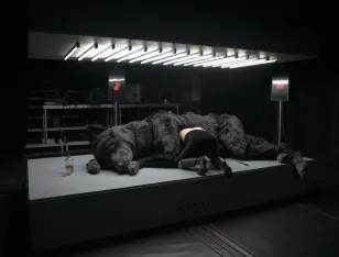 Ein schwarzer Wolf liegt auf einer beleuchteten Fläche. Eine Person mit nacktem Oberkörper steckt den Kopf in den Bauch des Wolfs.